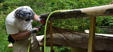 Fallingwater Preservation Technician working on Canopy.