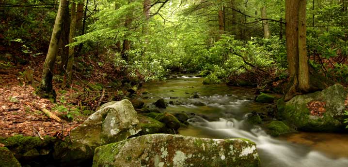 Bear Run Nature Reserve