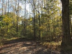 Four acres have been added to Bear Run Nature Reserve in Fayette County.