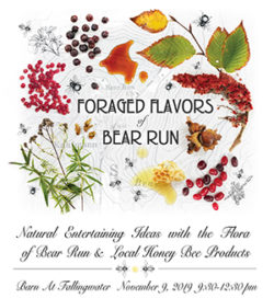 Foraged Flavors of Bear Run: Natural Entertaining Ideas with Native Plants of Bear Run and Local Honey Bee Products