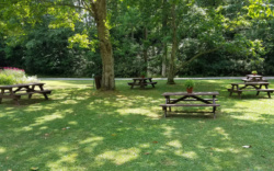 Picnic tables in a greenspace at Fallingwater