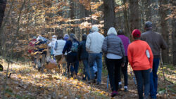 Friends of Fallingwater