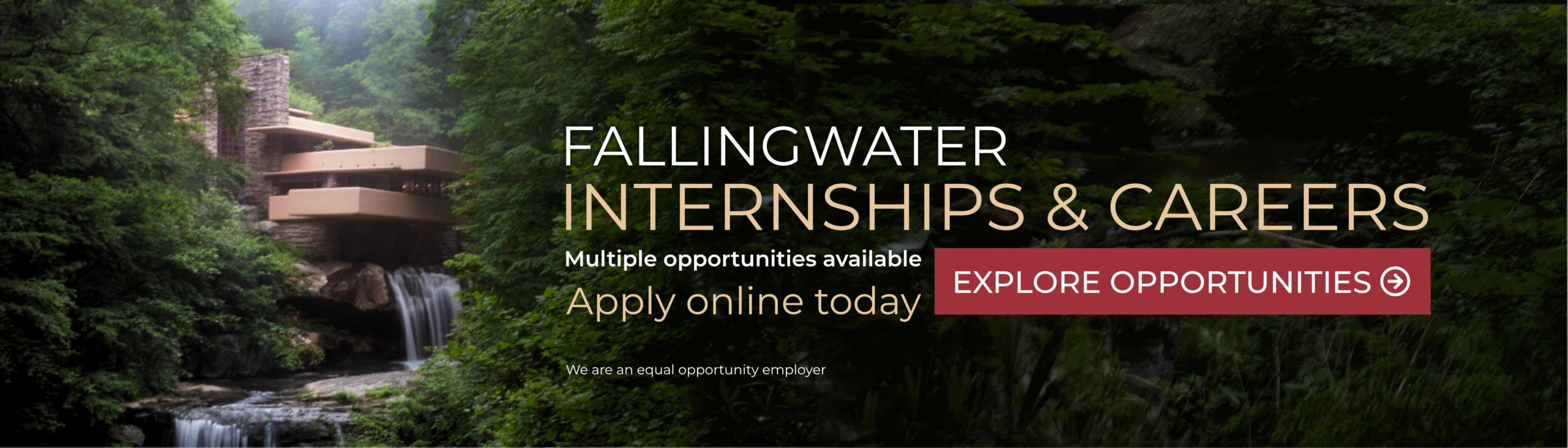 Link to WPC Internships Page