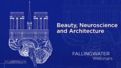 Cover image for Beauty, Neuroscience and Architecture Webinar