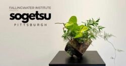 A fresh ikebana arrangement sits on a shiny black table in a white room