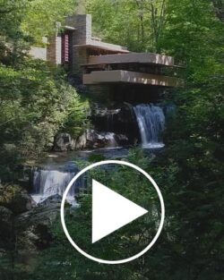 WHP Blog Intro Video Button