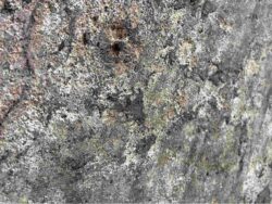 During the removal of the existing roofing at the main roof of the Guest House, protruding steel anchors and condensation were observed in the concrete deck