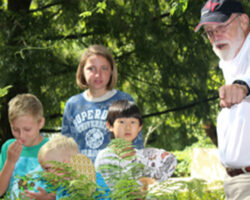 Family Field Trip to Fallingwater