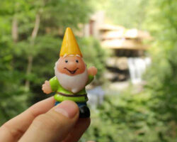 Gnome House Design Challenge