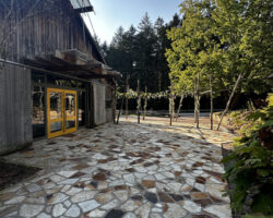 The Courtyard