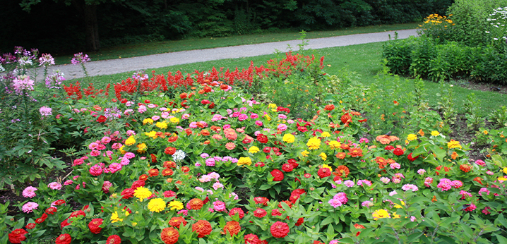 Gardens at Fallingwater