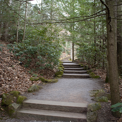 Steps to the visitor center