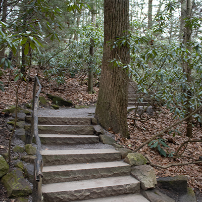 Fallingwater -stairs to the iconic view