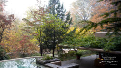 Fallingwater pool in the fall shot by Christopher Little
