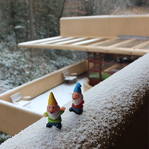 Gnome Design Challenge, gnomes at Fallingwater