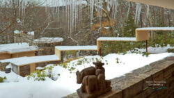 Fallingwater Exterior in the winter