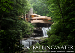 Fallingwater Iconic View