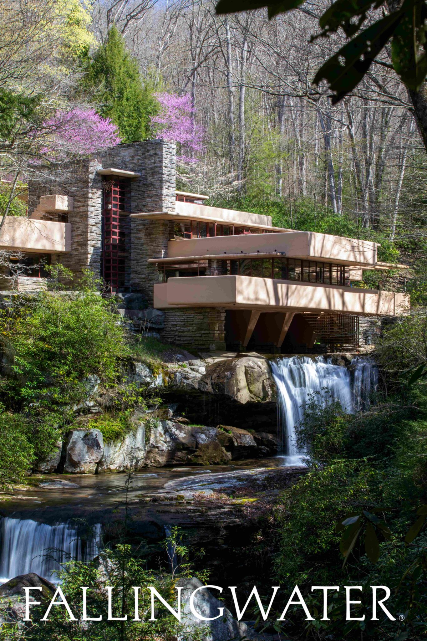 Spring Iconic View with New Wordmark - Fallingwater
