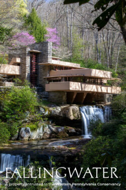 Spring White Wordmark Preview