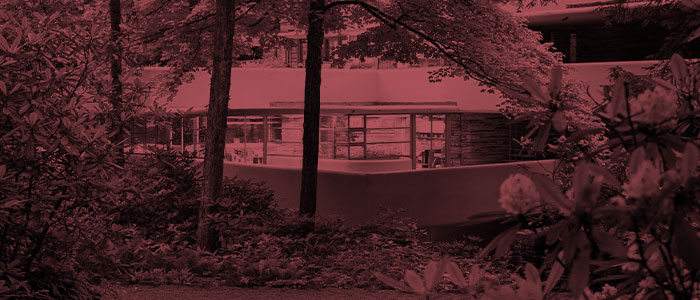 Graphic of Fallingwater